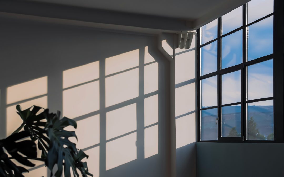Window of Tolerance – trauma informed approach to workplace wellness