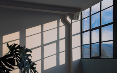 Window of Tolerance – trauma informed approach to workplace wellness